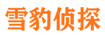 文安捉小三公司